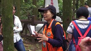 台鐵阿里山森林鐵路【阿里山火車碰壁】郵輪式列車二萬平站 ...