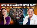 The Biology of Trauma: How Your Nervous System Stores Pain &amp; How it Heals | Dr. Aimie Apigian