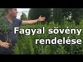 Fagyal sövény rendelése