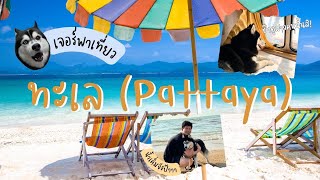 เจอร์พาเที่ยว ทะเล(Pattaya) เล่นทะเลครั้งแรก