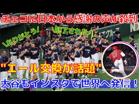 【大感激】侍ジャパンへの拍手にほっこり！チェコへ大谷翔平や日本のファン達が感謝を伝える！