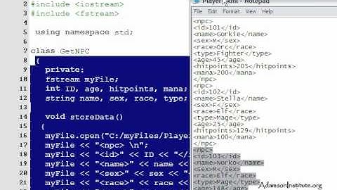 C++ (43) Tutorial Adamson Institute (org)