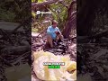Survival Challenge Can I Build a Fire and Survive @JasonTheWeenie #youtubeshorts #foryou