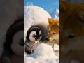 かわいいペンギンの赤ちゃん #shorts #かわいい #animal #baby #penguin #cute #adorable #pets #love