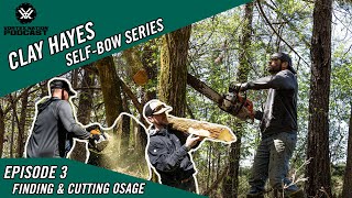 Clay Hayes Self-Bow Series | Finding and Cutting Osage with Clay Hayes - Episode 3