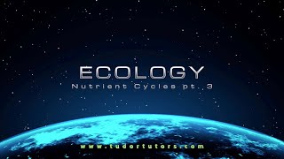 Ecology: Nutrient Cycles Pt.3