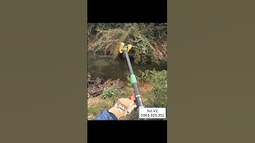 Bắn cá bằng ná thun cực chính xác_Shoot fish with extremely accurate slingshot