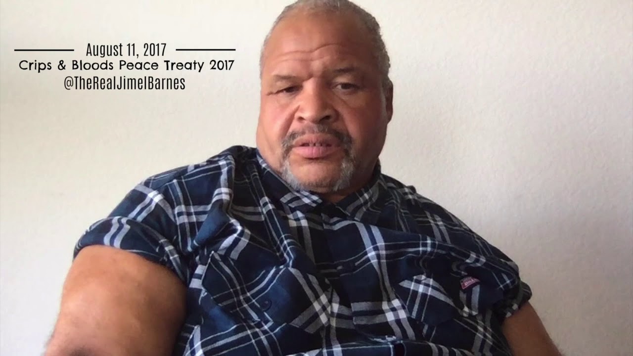 Crips & Bloods Peace Treaty 2017 YouTube
