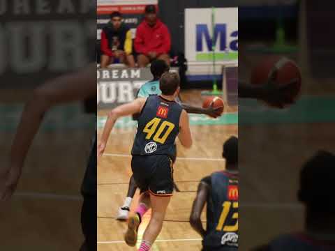 NBL1 Logan Thunder