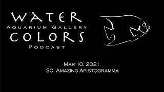 Download Lagu 30. Amazing Apistogramma Download Lagu 30. Amazing Apistogramma