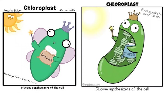 Зак пен Керри порно түсіріп жатыр.