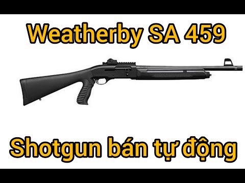 Video: Làm thế nào để chọn đạn 12 gauge? Đạn 12 thanh tốt nhất