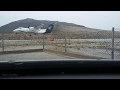 ✔ Take off in heavy rain, Sky Express & Olympic Air Kalymnos Airport,ATR 42-500 & Dash 8 Q100