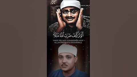مقارنه بين عبد الباسط و المنشاوي من تحب🤔 { أَلَمْ تَرَ كَيْفَ ضَرَبَ اللَّهُ مَثَلًا}  سورة ابراهيم