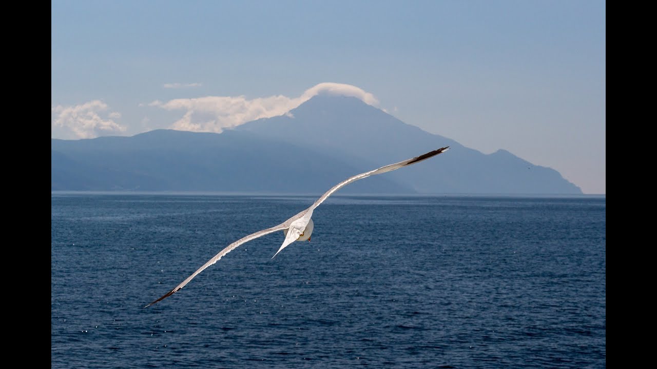 Fly To Sky | 2020 - Beautiful Emotional , Chilling, Sentimental Piano Music | By In Zen Soul.