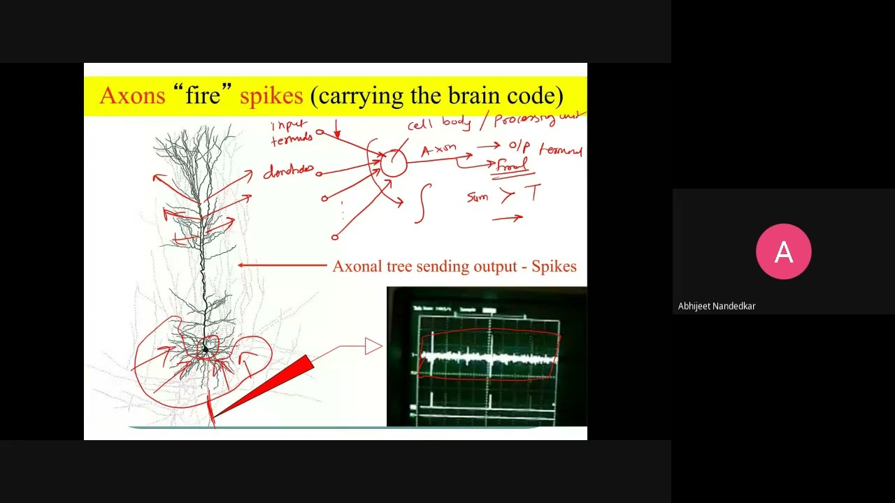 Lect 03 AI NN A 2021 08 12 at 23 43 GMT 7