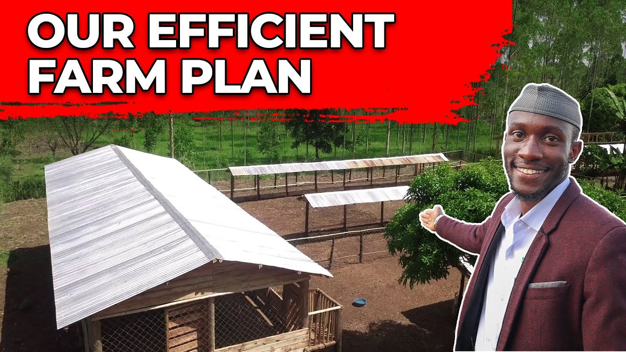 Inside Our Farm: How We Built for 200 Goats & 10 Cows! - YouTube