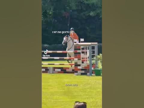 @LaNichi 🥺 ️ - YouTube