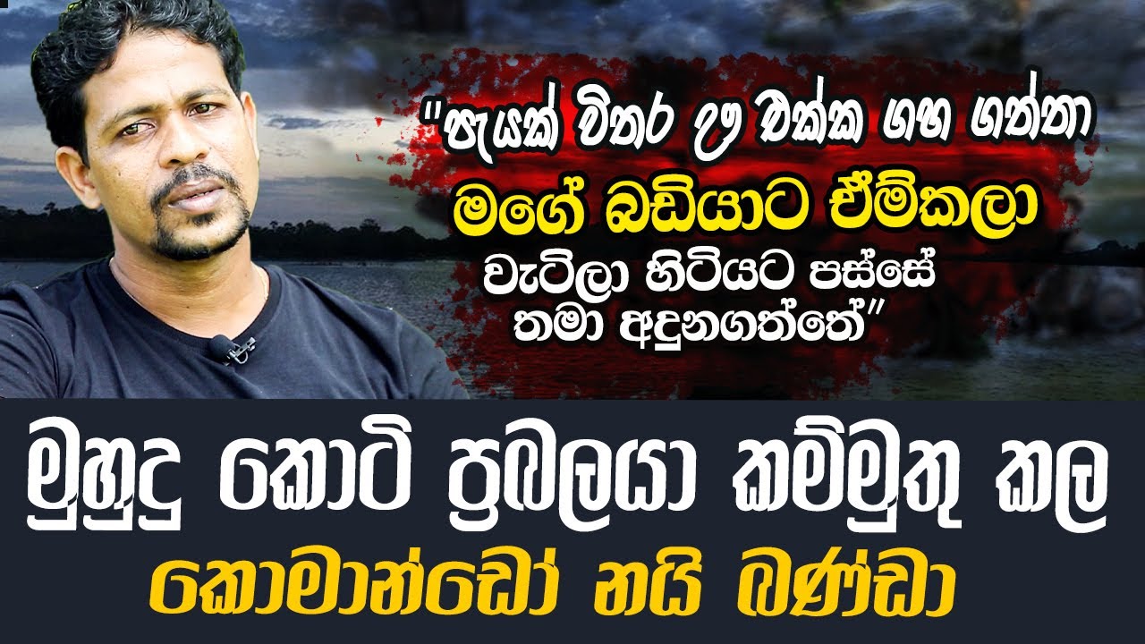 මුහුදේ රැගූ ලොකුම කොටියාව, සුසාව පරලොව යැවූ නයිබණ්ඩා | WANESA TV