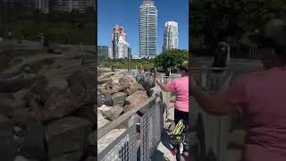 Celebrity Huge rogue wave hits Miami sidewalk sending pedestrians flying AFTER Hurricane Ian had departed Wealth