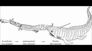 Orthacanthus Ancient Shark Tribute