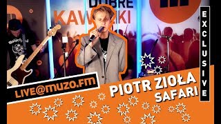 Video thumbnail of "Piotr Zioła - Safari (Live at MUZO.FM)"