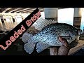 How To Find Crappie Under Bridges in Winter