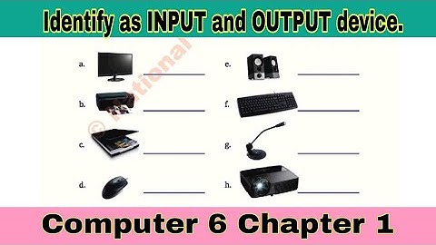 Identify INPUT and OUTPUT device | Computer class 6 chapter 1 | ilmi darasgah