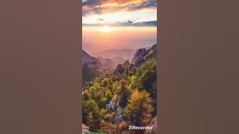 سورة العصر بصوت الشيخ -سعد الغامدي،