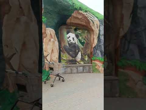 Видео: ⚡Новый Вольер для панда Катюша 