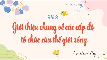 Bài 3. Giới thiệu chung về các cấp độ tổ chức của thế giới sống - Sinh học 10 - Cánh diều - OLM.VN