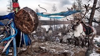 Türk Kültüründe Geyik Boynuzlu Atlar Ve Şaman İnancı