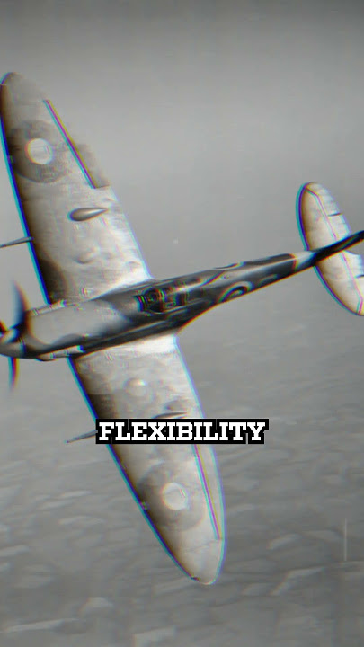 Why Spitfire Pilots Bent Their Wings on Purpose During Dogfights #wwiihistory #worldwar2 #wwiifacts