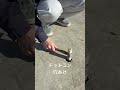 ドットコン 施工 穴あけ 簡単 楽々 土浦市 #Shorts