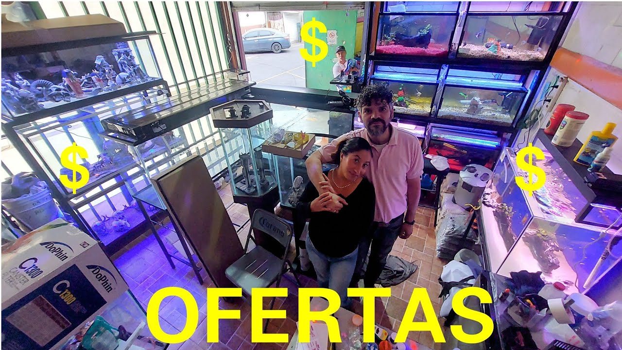 LOS ACUARIOS MAS BARATOS DE TODO EL MERCADO LA RAZA: ACUARIOS NARANJO