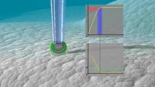 Ionscope: SICM operating in AC scan mode