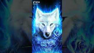 cool wolf pics screenshot 1