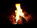Crackling Fire Place