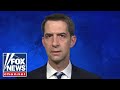 Tom Cotton: 'Taliban goons' are beating Americans, taking passports