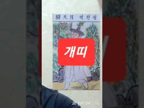 개띠 오늘의운세 2024년9월20일 금요일 운세 총운 #<strong>2024년운세</strong> #운세 #오늘의운세