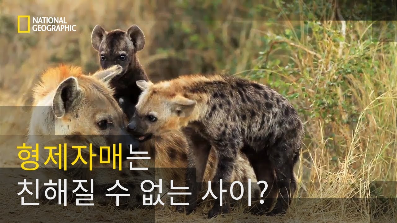 ⁣살아남기 위한 골육상잔