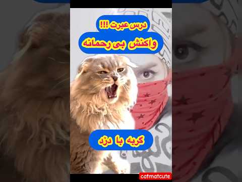 عاقبت تلخ دزدی که به خونم اومد