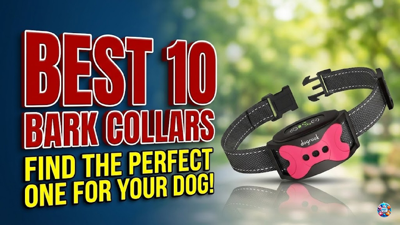 Bark Collar : Which are the Best Bark Collars in 2026?
