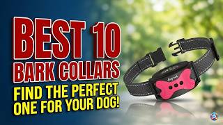 Bark Collar : Which are the Best Bark Collars in 2026?