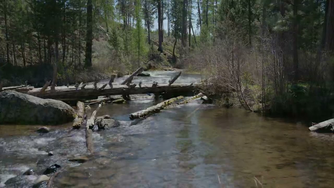 Shevlin Park: Bend’s Premier Nature Retreat!