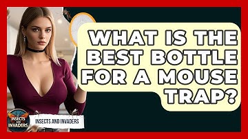 What Is The Best Bottle For A Mouse Trap? - Insects and Invaders