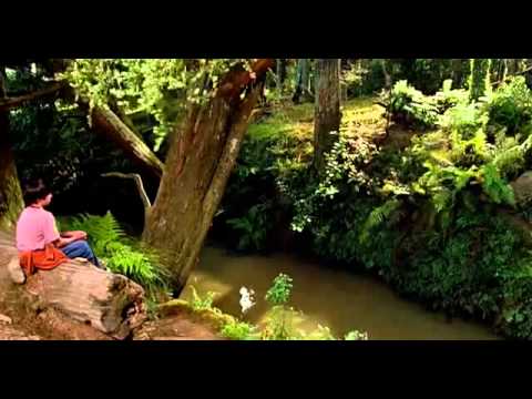 ▶ Bridge To Terabithia (Terabithia Köprüsü) -First Official Full Trailer(Fragman)