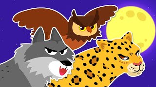 [Sing Along] Hunters in the Night | “Ah-ooh~! It’s our world!” | Animal Song for kids ★ TidiKids