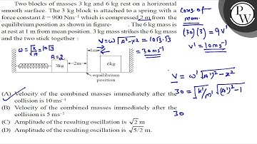 Two blocks of masses \( 3 \mathrm{~kg} \) and \( 6 \mathrm{~kg} \) rest on a horizontal smooth s...