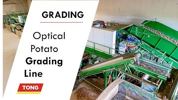 Optical potato sorting and grading line including Downs optical sorter | Turnkey Tong Potato System
